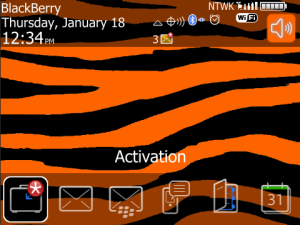 Zebra Orange