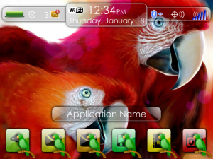 Pretty Parrots Theme