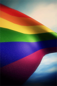 Rainbow Flag 02