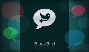BlackBird for blackberry app Screenshot