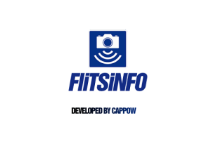 Flitsinfo