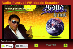 Radio Puntual Online