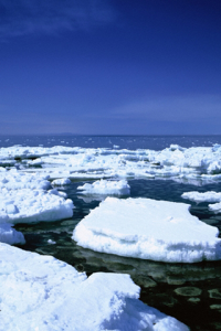 Polar Seas Icebergs and Ice Floes