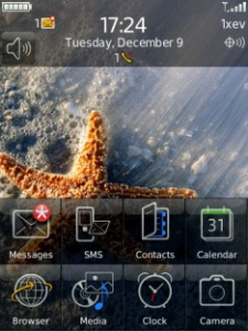 Visual Arts - Wallpaper changer for blackberry Screenshot