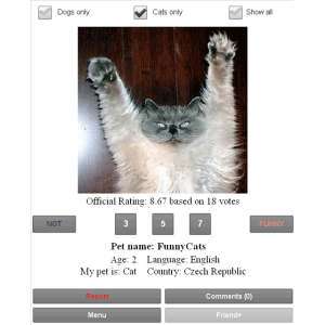 Video Dogs vs Cats for blackberry Screenshot