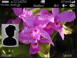 FlowerV24-8520 for blackberry Screenshot