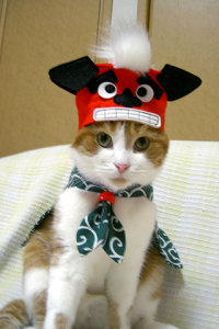 Kawaii Cats Collection 4