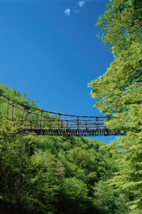 Japans Suspension Bridges for blackberry Screenshot