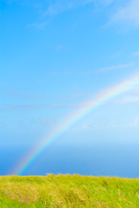 Rainbows and Grasslands