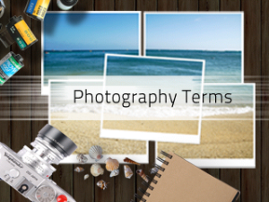 Photography Terms for blackberry Screenshot