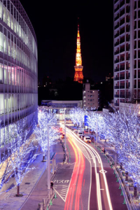 Tokyo Tower by Night for blackberry Screenshot