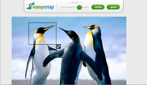 EasyCrop for BlackBerry PlayBook