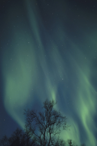 Auroras 1: Grand Natural Beauty