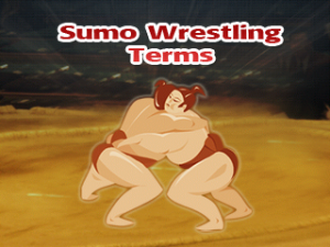 Sumo Wrestling Terms