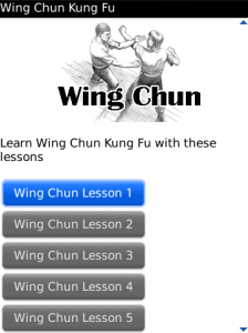 Wing Chun Kung Fu