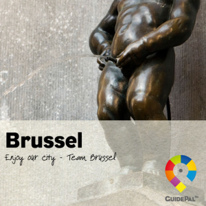 Brussels City Travel Guide