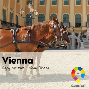 Vienna City Travel Guide