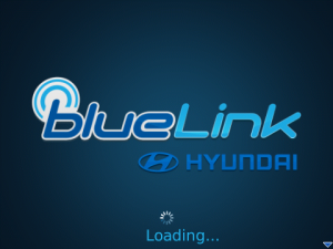 BlueLink