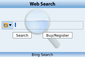 Web Search