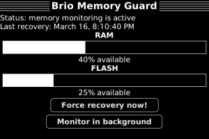 Brio Memory Guard